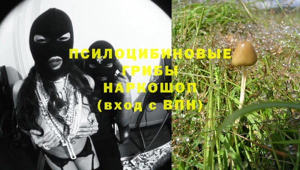 прущие крисы Балахна
