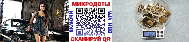 Галлюциногенные грибы прущие грибы  Холм 